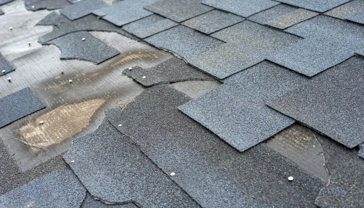 roof repair near me